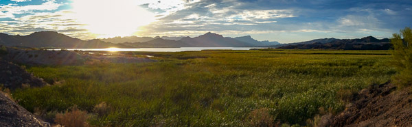 Bill Williams River National Wildlife Refuge